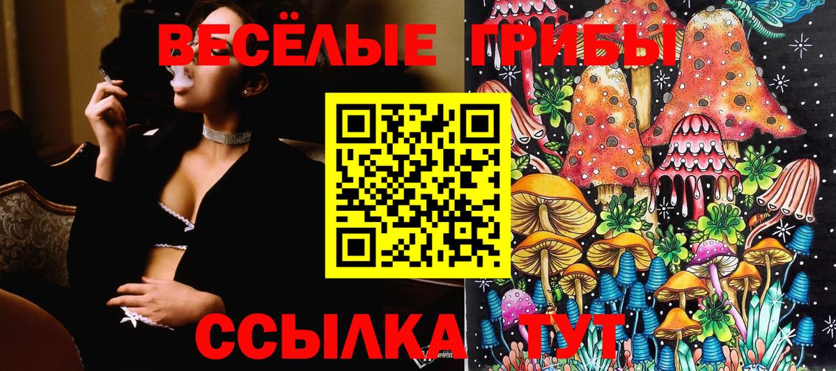Псилоцибиновые грибы Psilocybine cubensis Качканар