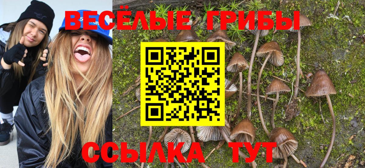 Качканар  Галлюциногенные грибы Cubensis  где продают наркотики  Вход с VPN 